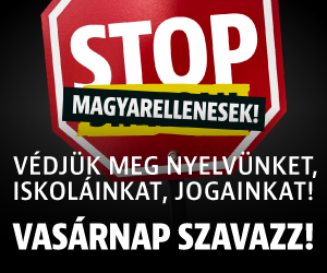 banner_LMvT68CW_300x250 copy (1).png